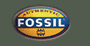 Fossil
